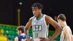 Halvine Dzellat-Diakeno scouting reports