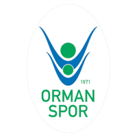 OGM Ormanspor