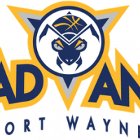 Fort Wayne Mad Ants