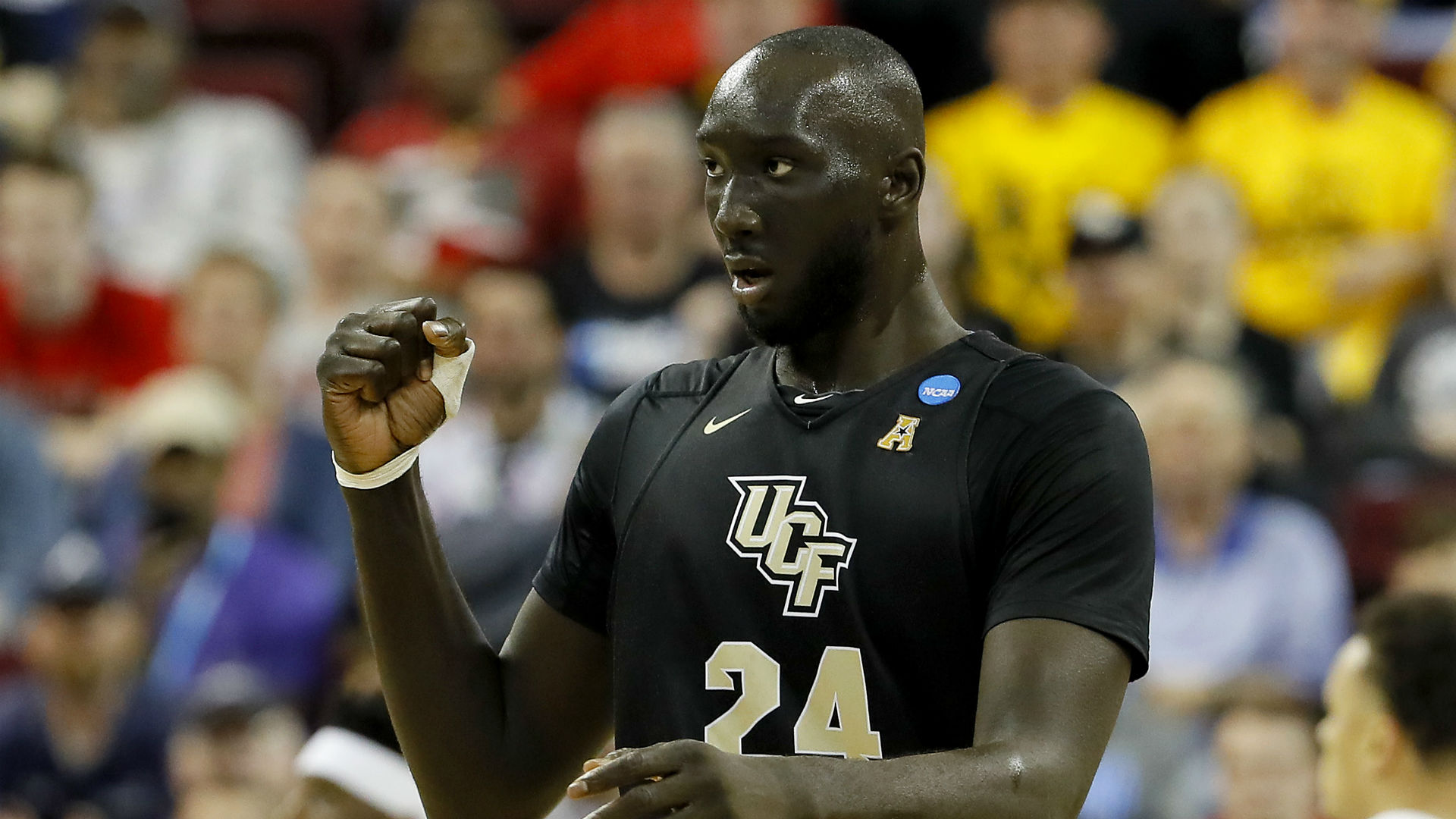 Envergure Tacko Fall Scouting reports & stats