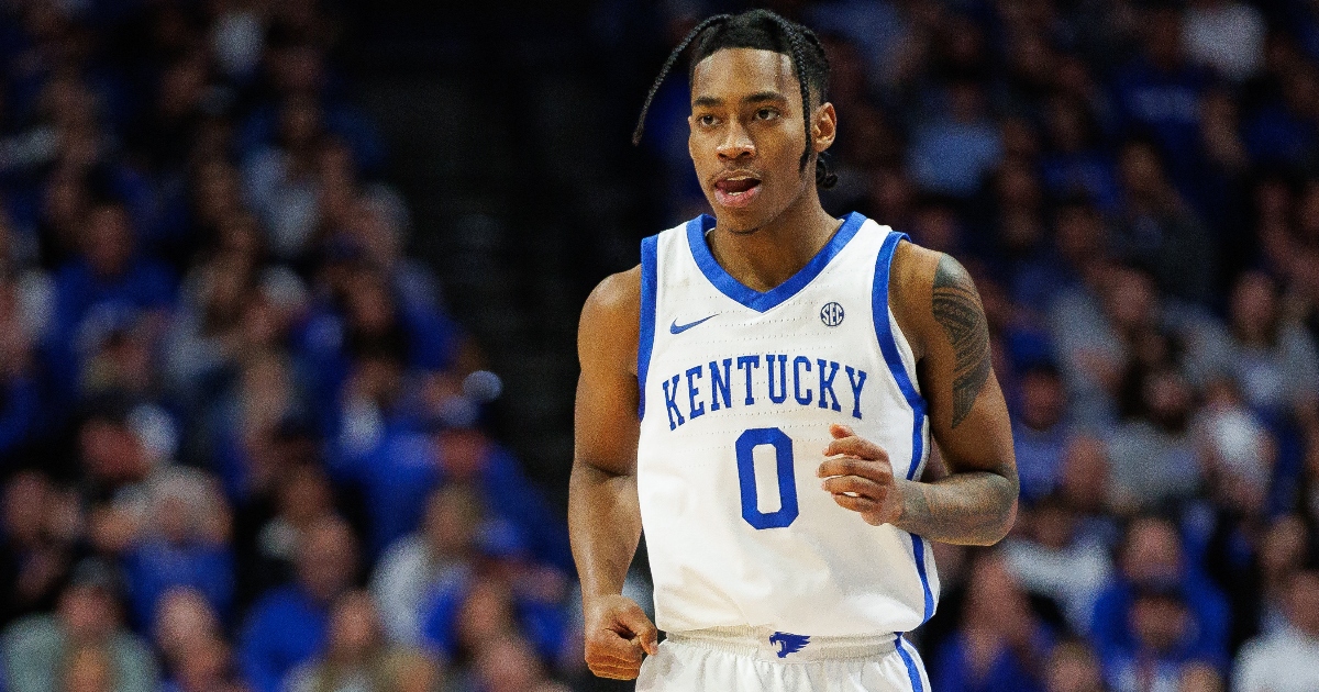Envergure Rob Dillingham Scouting reports & stats