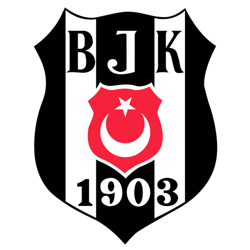 Beşiktaş Sompo Japan